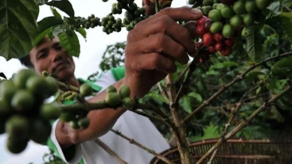 1.400 Buruh di Sumsel Kena PHK, Sektor Kebun Paling Banyak 1.400 Buruh di Sumsel Kena PHK, Sektor Kebun Paling Banyak