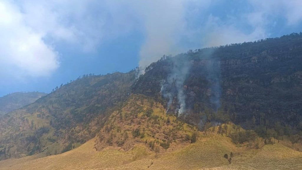 BPBD Probolinggo Catat Savana Bromo Terbakar Capai 80 Hektare BPBD Probolinggo Catat Savana Bromo Terbakar Capai 80 Hektare