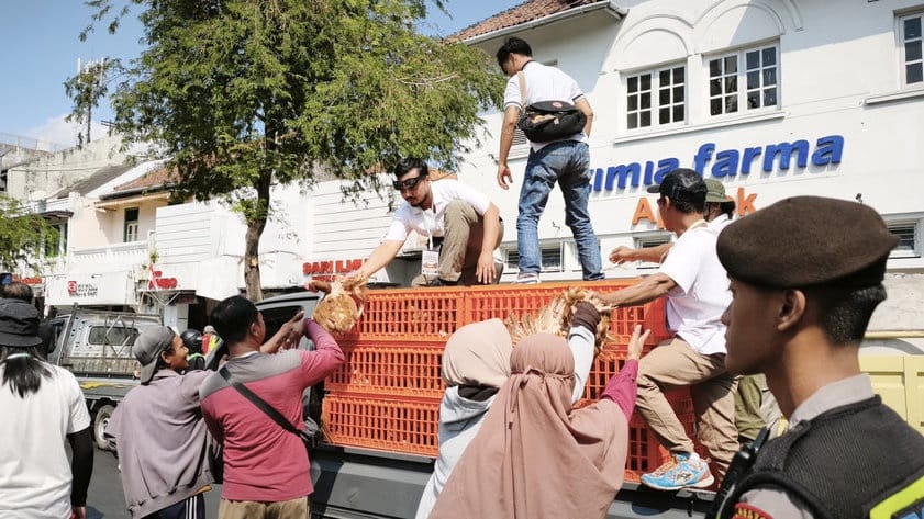Protes Harga Anjlok, Peternak Bagikan Ayam & Telur di Malioboro Protes Harga Anjlok, Peternak Bagikan Ayam & Telur di Malioboro