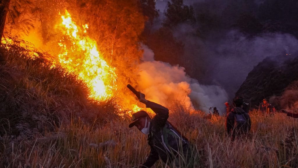 Kebakaran Bromo Berulang: Saatnya Merombak Strategi Konservasi Kebakaran Bromo Berulang: Saatnya Merombak Strategi Konservasi