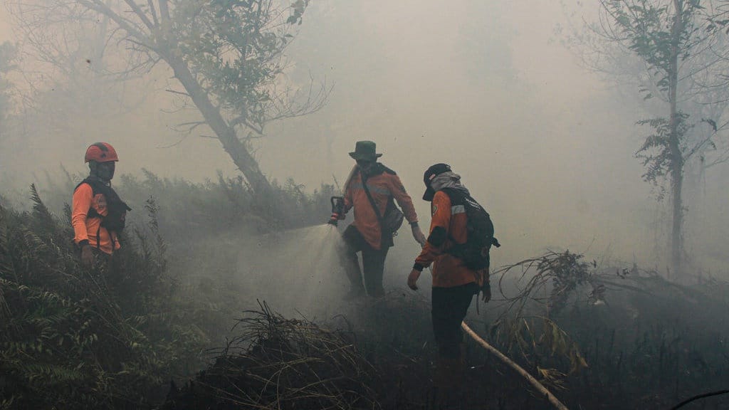 Kalimantan Dikepung Kabut Asap, Kelompok Rentan Kian Terancam Kalimantan Dikepung Kabut Asap, Kelompok Rentan Kian Terancam
