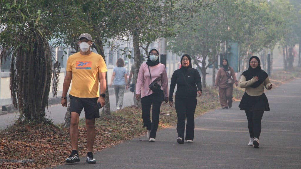Fakta-Fakta Kebakaran Hutan Kalimantan: Update Titik dan Dampak