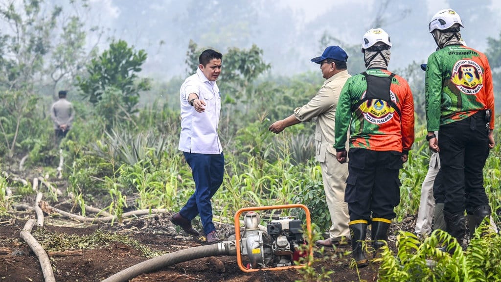 Empat Korporasi Diduga Pembakar Hutan di Kalimantan Diselidiki Empat Korporasi Diduga Pembakar Hutan di Kalimantan Diselidiki