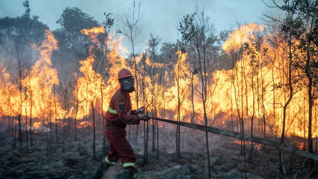 Mayoritas Karhutla Sengaja Dipicu demi Buka Lahan Sawit Mayoritas Karhutla Sengaja Dipicu demi Buka Lahan Sawit