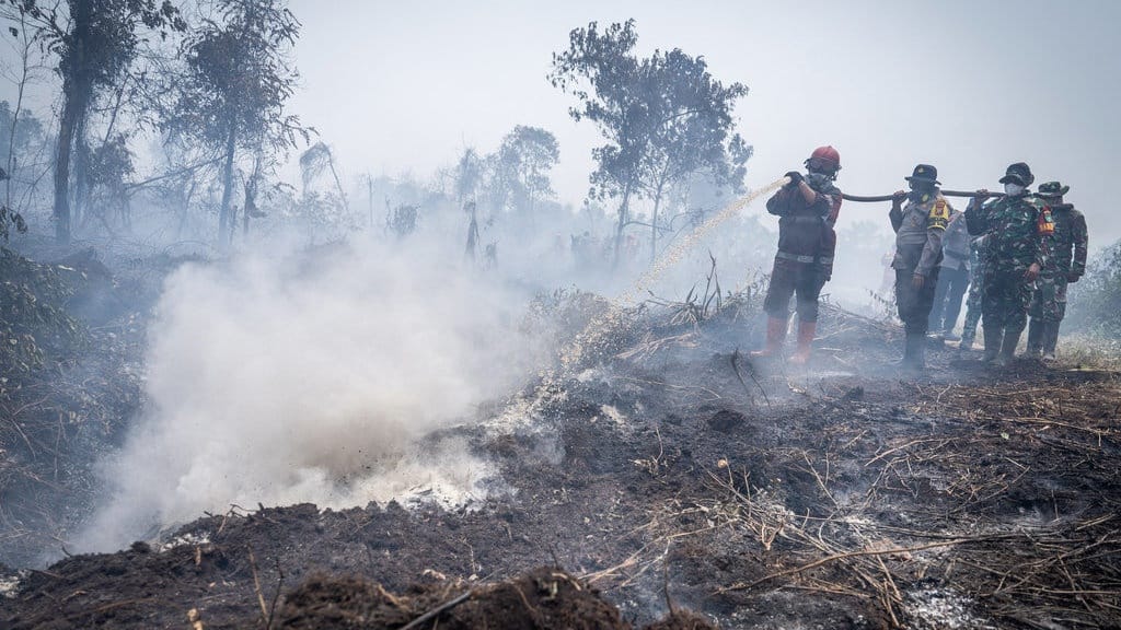 Bisakah Membuka Lahan Tanpa Dibakar demi Mencegah Karhutla? Bisakah Membuka Lahan Tanpa Dibakar demi Mencegah Karhutla?