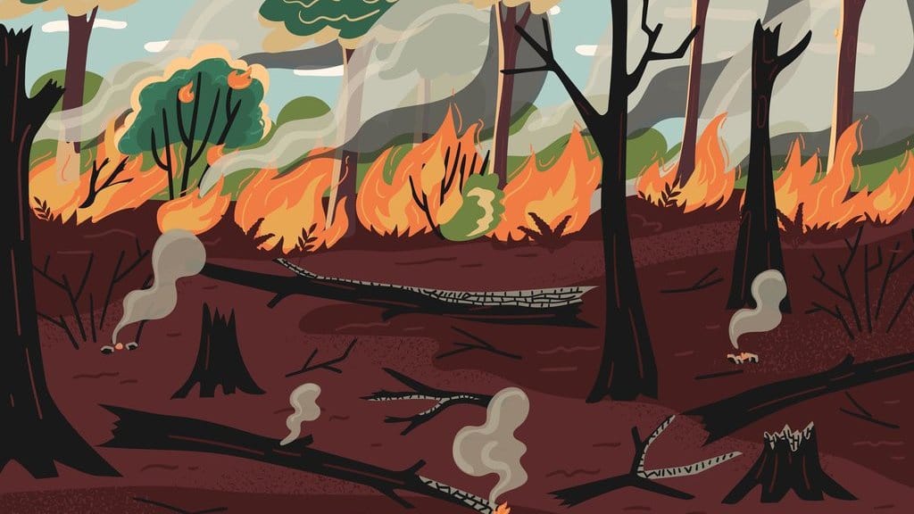 Orde Baru Menuduh Orang Dayak Membakar Hutan Orde Baru Menuduh Orang Dayak Membakar Hutan