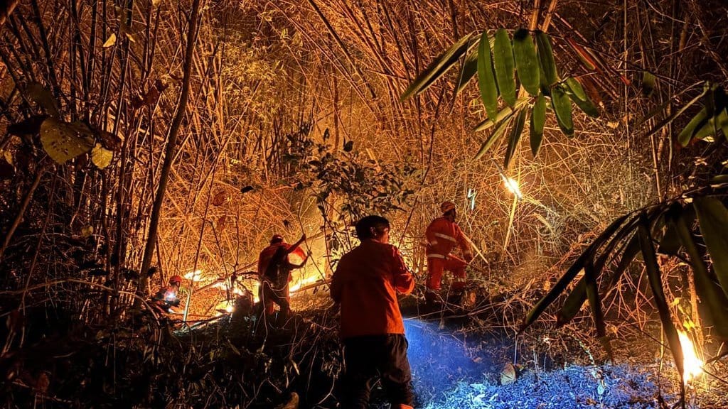 2 Hektare Lahan di Kawasan Gunung Trianggulasi Jember Terbakar 2 Hektare Lahan di Kawasan Gunung Trianggulasi Jember Terbakar