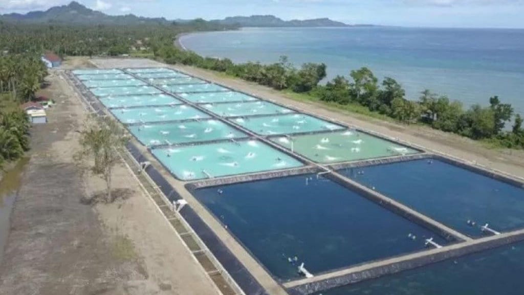 Rehabilitasi Pasca bencana di Aceh Capai 797,7 Hektar Rehabilitasi Pasca bencana di Aceh Capai 797,7 Hektar