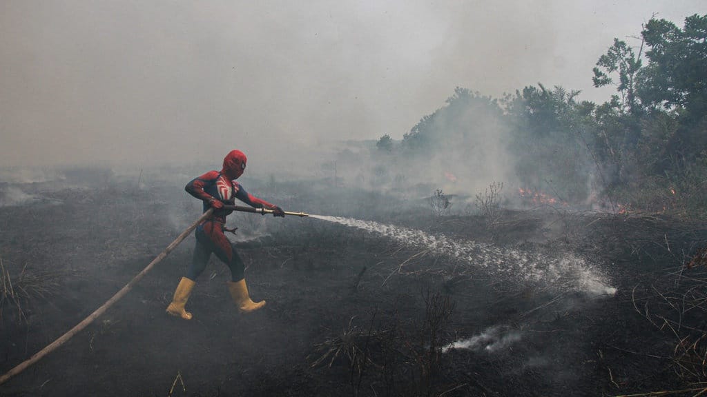 Emisi Karhutla di Indonesia Berada di Level Tertinggi Dunia Emisi Karhutla di Indonesia Berada di Level Tertinggi Dunia