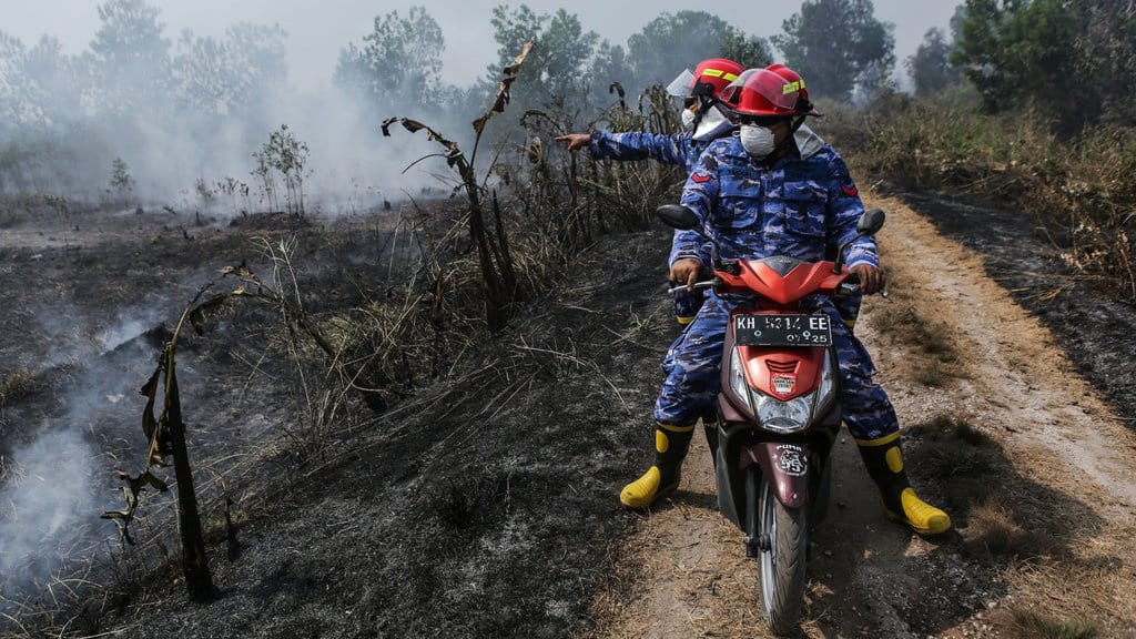 Pemerintah Gandeng Ratusan Perusahaan Atasi Karhutla di Kalsel Pemerintah Gandeng Ratusan Perusahaan Atasi Karhutla di Kalsel