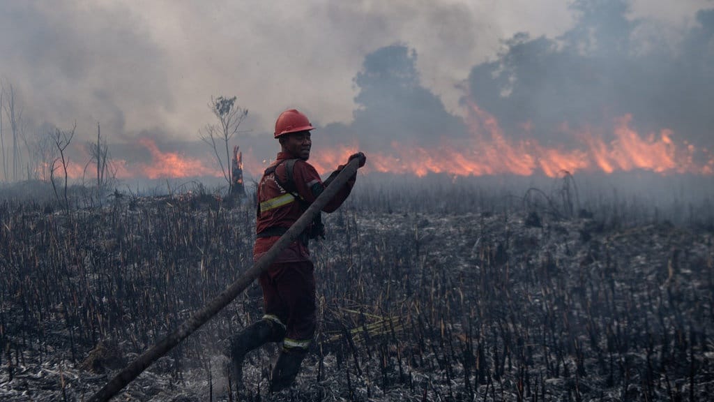 Update Karhutla Kalimantan, Sumatera dan Papua Hari Ini Update Karhutla Kalimantan, Sumatera dan Papua Hari Ini