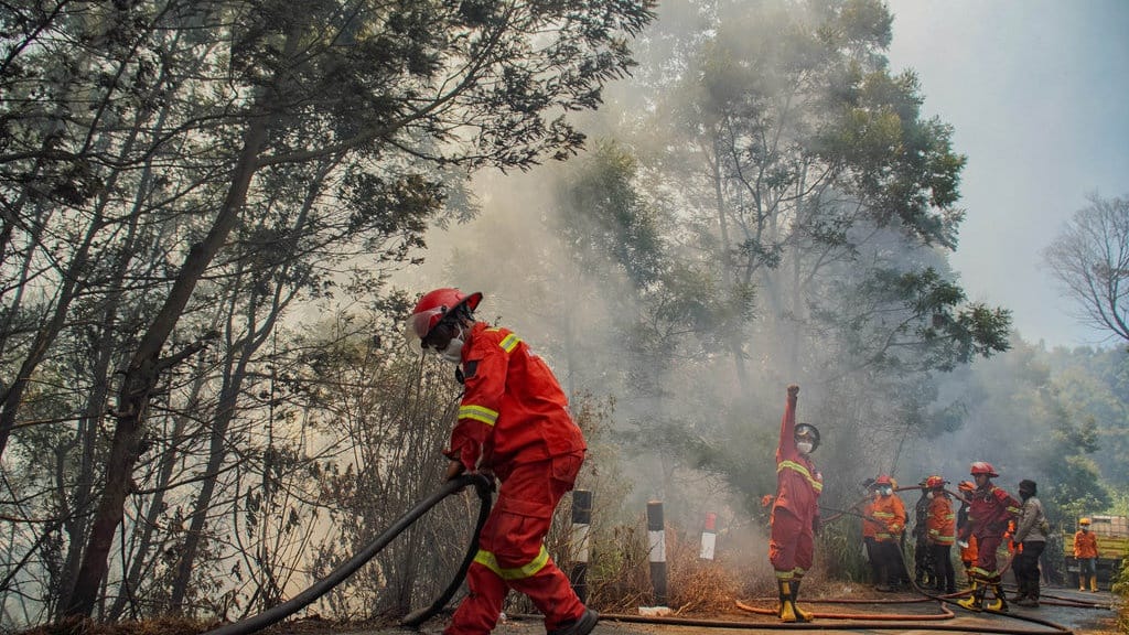 BMKG Juanda Deteksi 106 Titik Panas di Jatim, Waspadai Karhutla BMKG Juanda Deteksi 106 Titik Panas di Jatim, Waspadai Karhutla