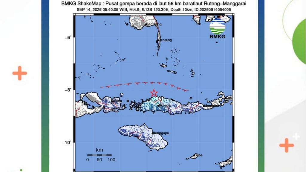 Gempa M4,9 Guncang Manggarai NTT Pagi Ini, Tak Potensi Tsunami Gempa M4,9 Guncang Manggarai NTT Pagi Ini, Tak Potensi Tsunami