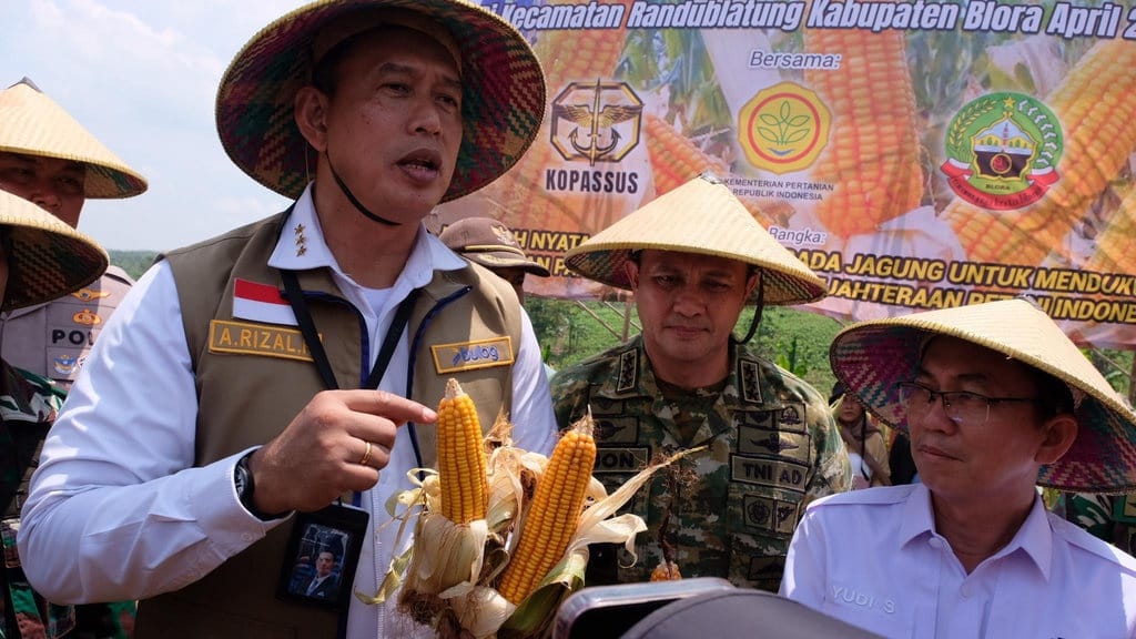 BULOG Siap Salurkan Tambahan 150 Ribu Ton SPHP Jagung BULOG Siap Salurkan Tambahan 150 Ribu Ton SPHP Jagung