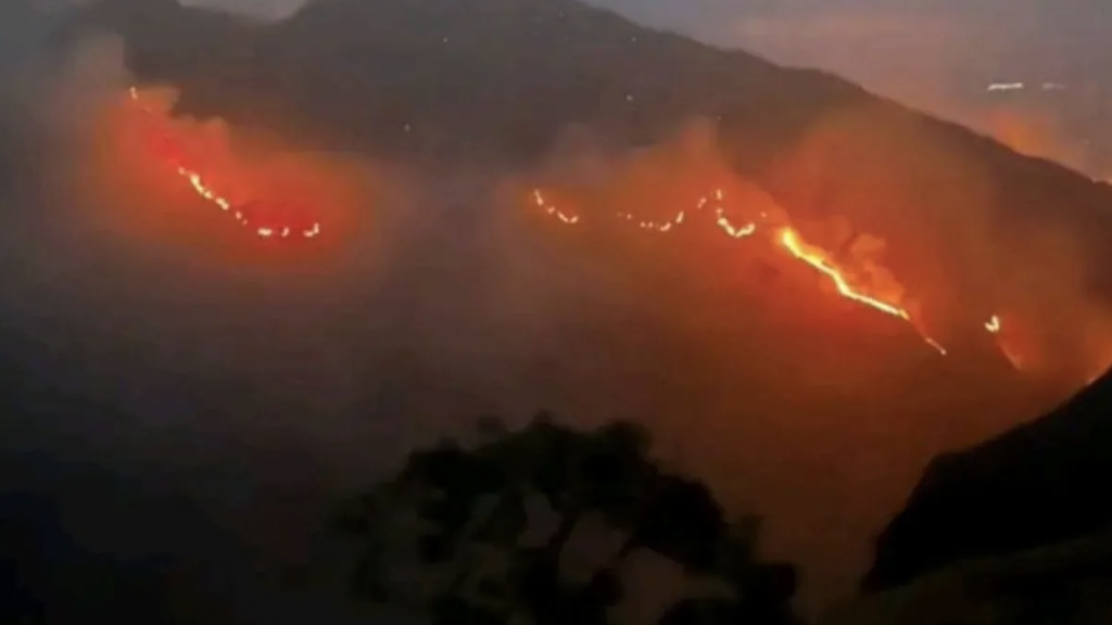 TNGR: Luas Karhutla di Gunung Rinjani Mencapai 589 Hektare TNGR: Luas Karhutla di Gunung Rinjani Mencapai 589 Hektare
