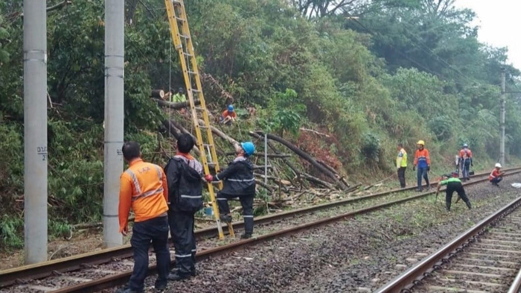 KRL Bogor Alami Gangguan Dekat Stasiun UI Imbas Pohon Tumbang KRL Bogor Alami Gangguan Dekat Stasiun UI Imbas Pohon Tumbang