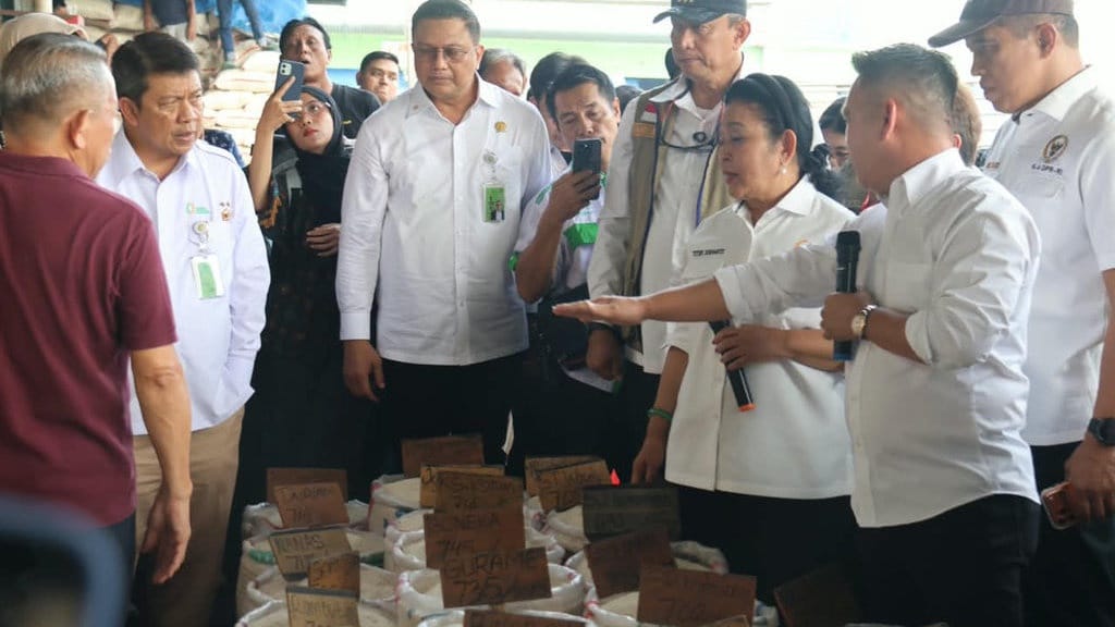 BULOG dan DPR Sidak Pasar Induk Cipinang, Stok Melimpah BULOG dan DPR Sidak Pasar Induk Cipinang, Stok Melimpah