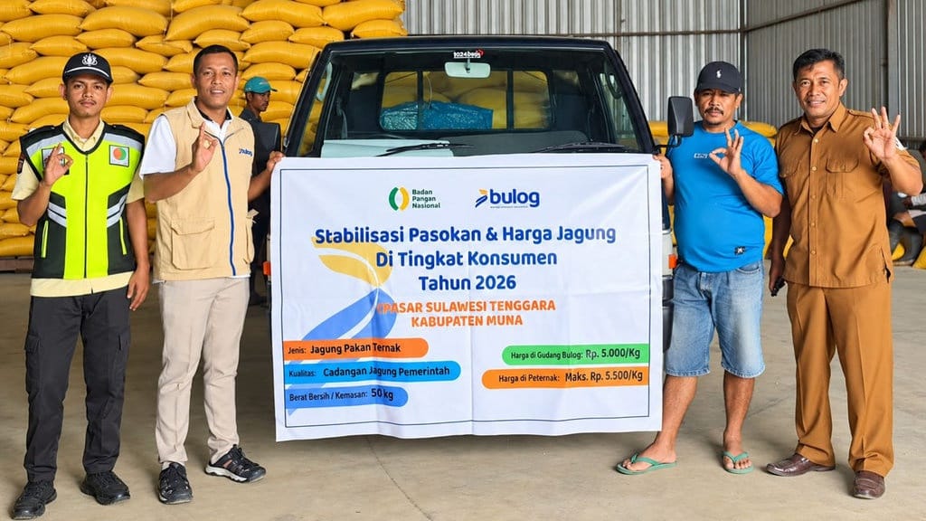 BULOG Percepat Penyaluran SPHP Jagung Pakan, Pastikan Stok Cukup BULOG Percepat Penyaluran SPHP Jagung Pakan, Pastikan Stok Cukup