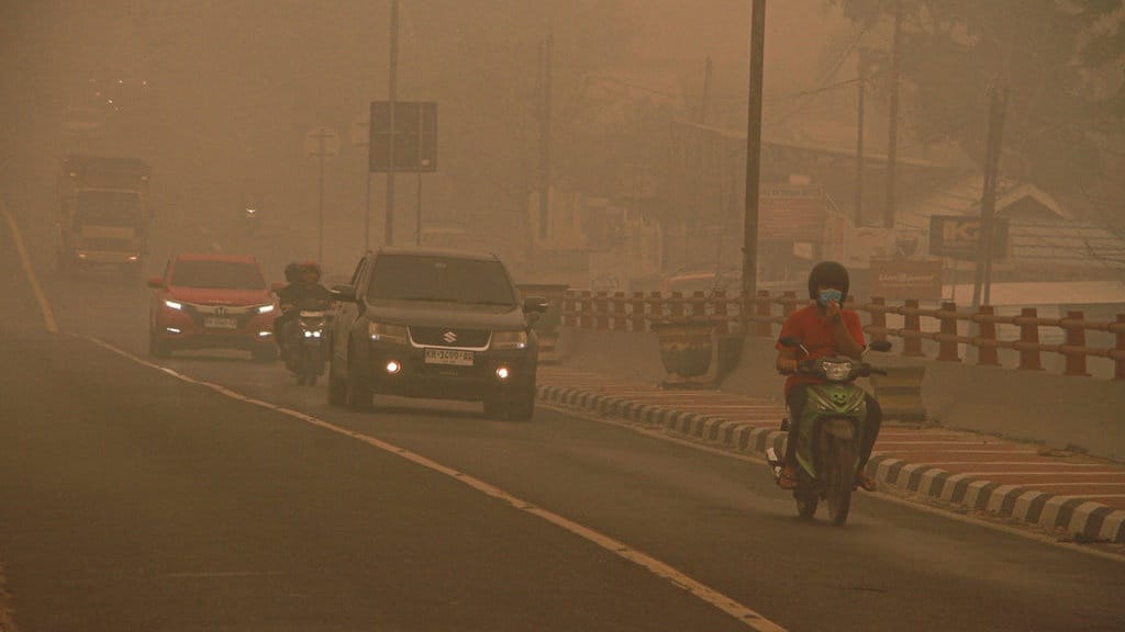 IDAI Minta Pemerintah Lebih Serius Tangani Karhutla IDAI Minta Pemerintah Lebih Serius Tangani Karhutla