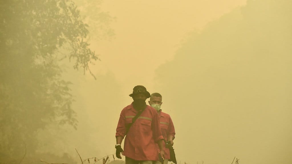 Daftar 11 Taman Nasional yang Mengalami Kebakaran pada 2026 Daftar 11 Taman Nasional yang Mengalami Kebakaran pada 2026