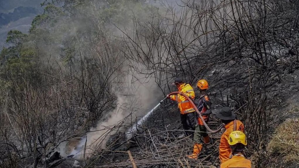 Relawan Karhutla Kawasan Bromo Kembali Gugur, Total Jadi 6 Orang Relawan Karhutla Kawasan Bromo Kembali Gugur, Total Jadi 6 Orang