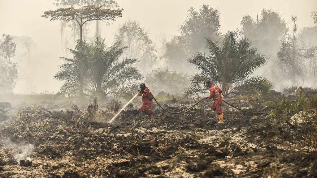Greenpeace Desak ASEAN Setop Basa-basi soal Kabut Asap Karhutla Greenpeace Desak ASEAN Setop Basa-basi soal Kabut Asap Karhutla