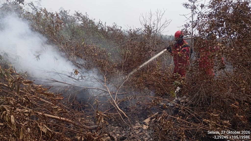 Diguyur Hujan 2 Hari, Karhutla Gambut di OKI Masih Menyala Diguyur Hujan 2 Hari, Karhutla Gambut di OKI Masih Menyala