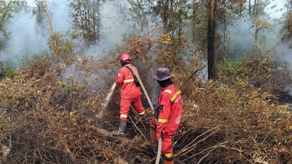 Jumlah Hotspot Karhutla di Sumatra Selatan Kembali Naik Jumlah Hotspot Karhutla di Sumatra Selatan Kembali Naik