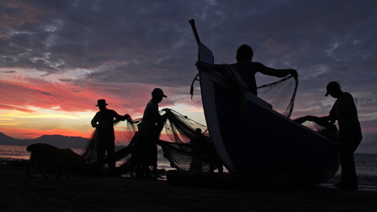 Tanzania Prihatin Terkait Berkurangnya Spesies Ikan di Danau