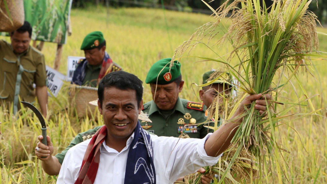 Mentan Sebut Indonesia Siap Ekspor Beras di 2017 Mentan Sebut Indonesia Siap Ekspor Beras di 2017