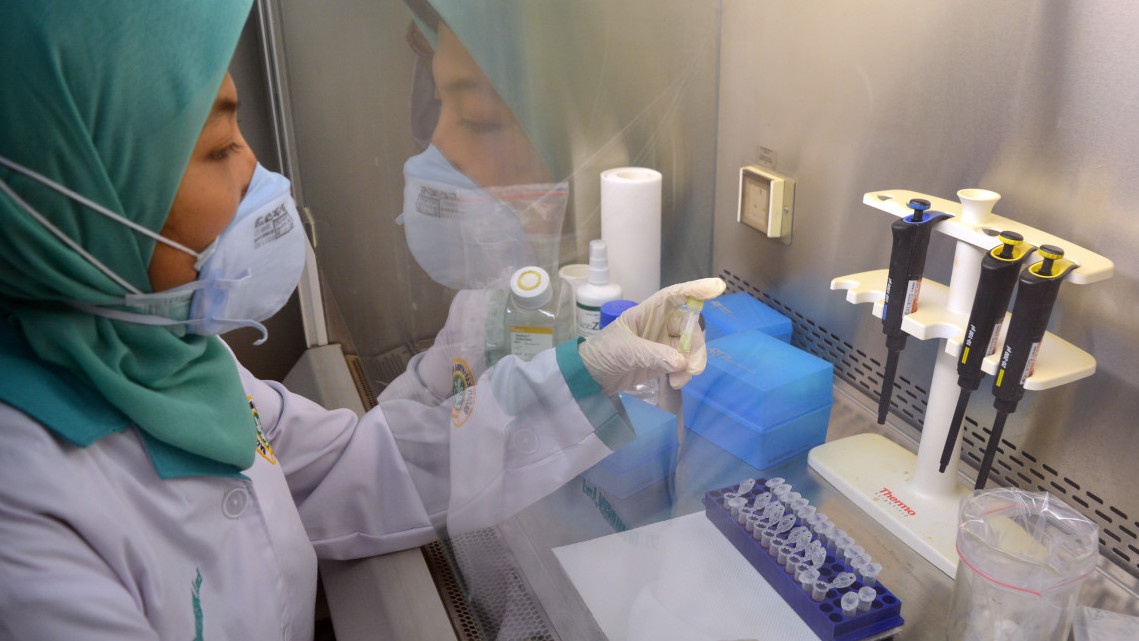 Antisipasi Wabah Flu Burung, Kemenkes Siagakan 195 RS Rujukan Antisipasi Wabah Flu Burung, Kemenkes Siagakan 195 RS Rujukan