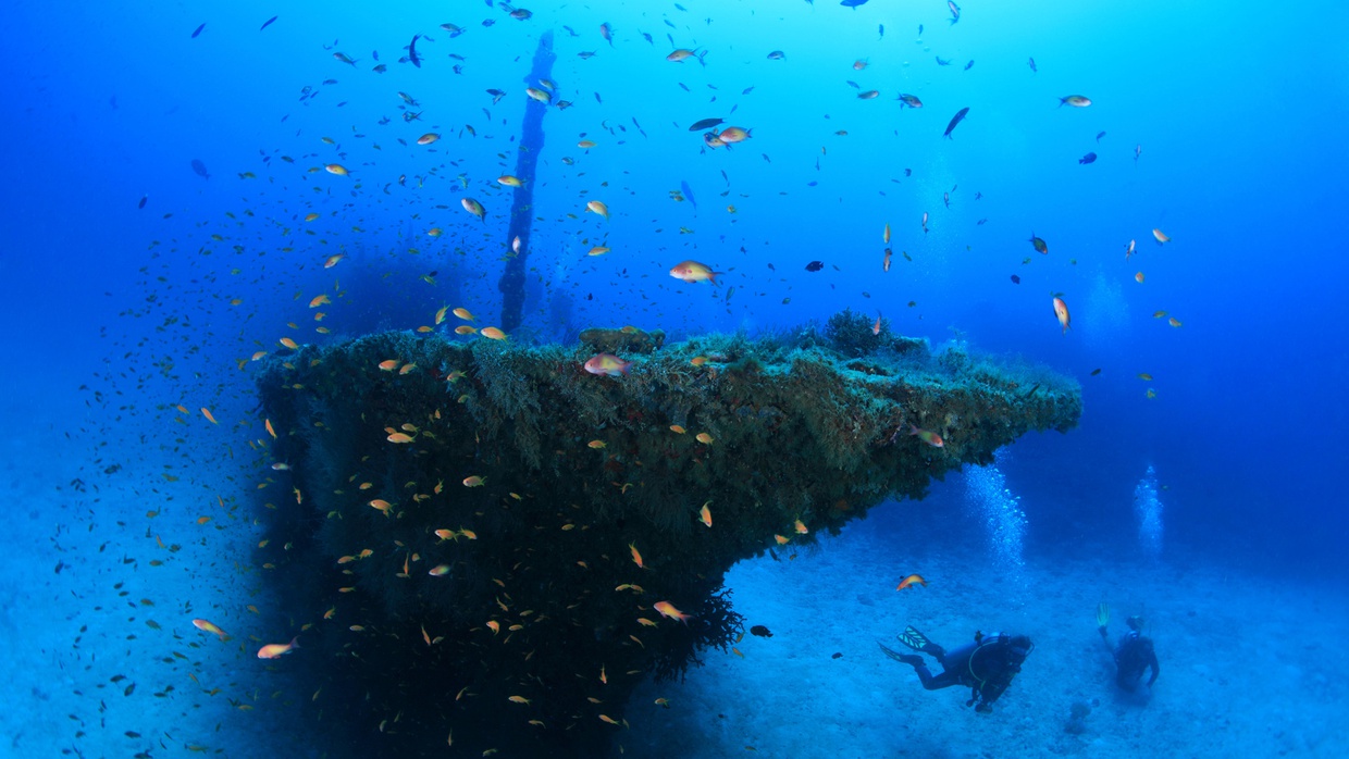 Pesona Gelap 10 Ikan Laut Dalam yang Unik dan Menyeramkan