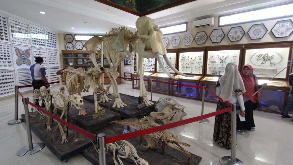 Sedikit Tentang Museum