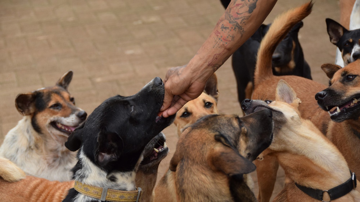 Desakan Tutup Pejaten Shelter, Padahal Kian Krusial