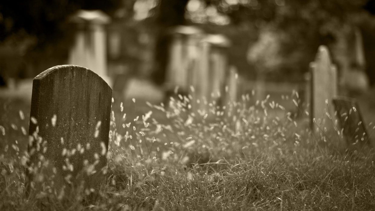 Keabadian Semu Raga Manusia