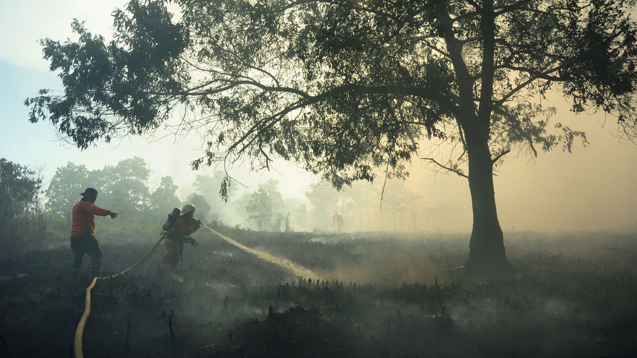 Ancaman Karhutla di Balik Rencana Pemindahan Ibu Kota ke Kalimantan