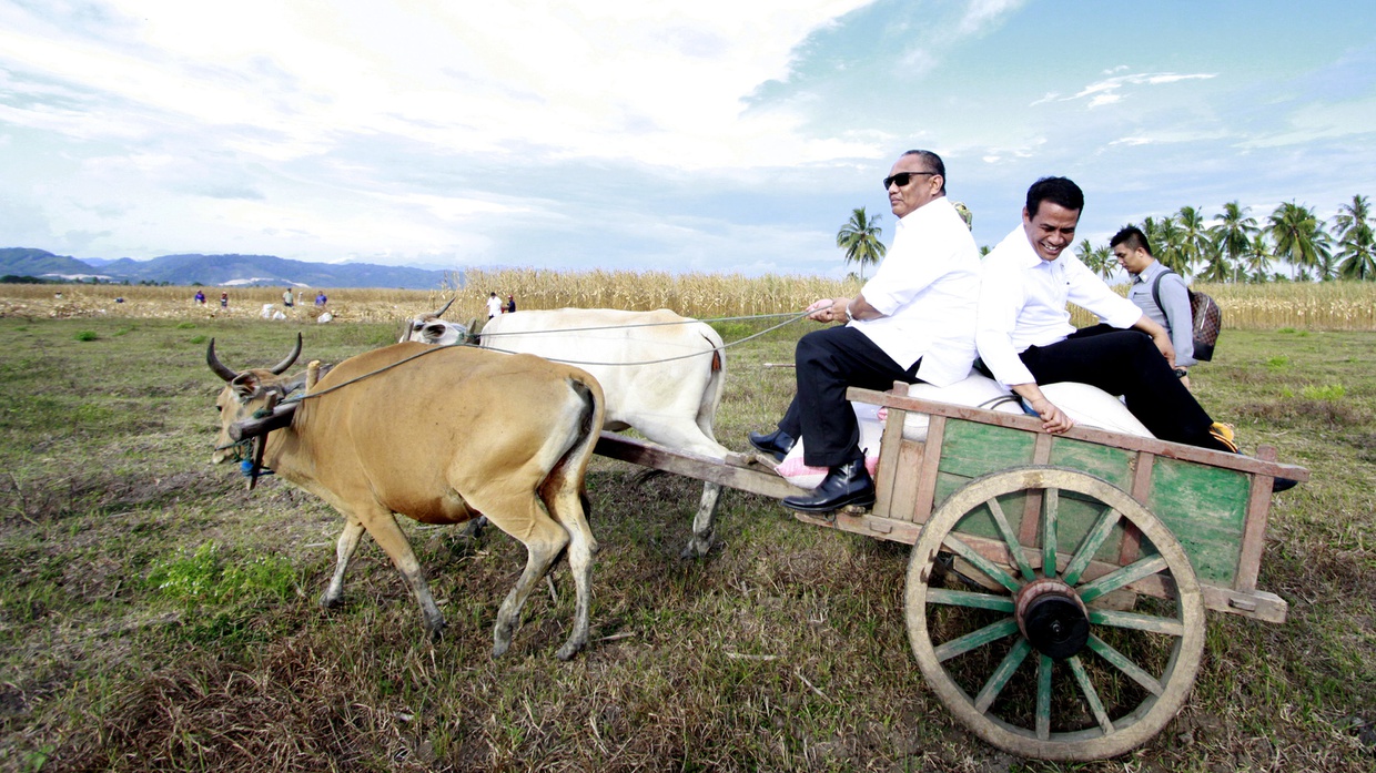 Petani Bekerja 24 Jam: Menengok Kembali Masa Tanam Paksa