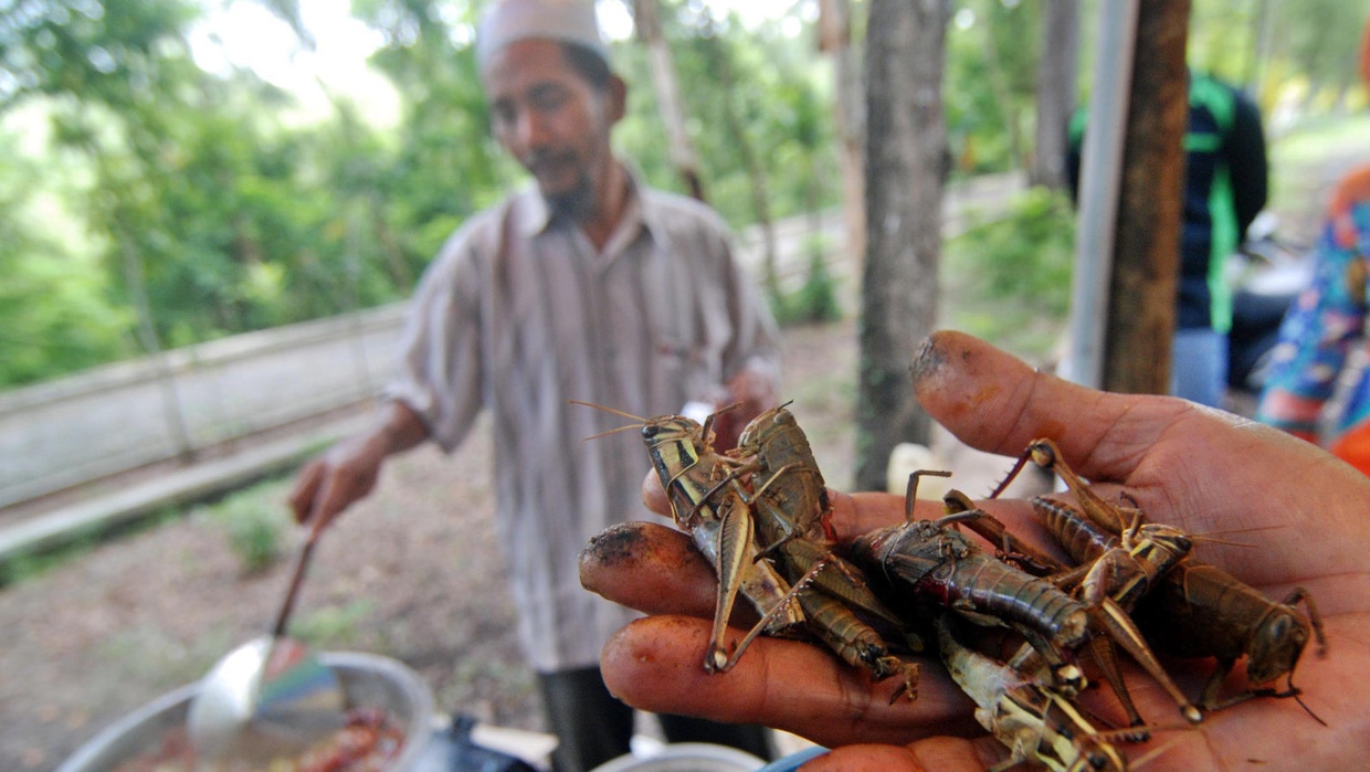 Berburu Oleh-oleh Khas Wisata Yogya, Selain Gudeg