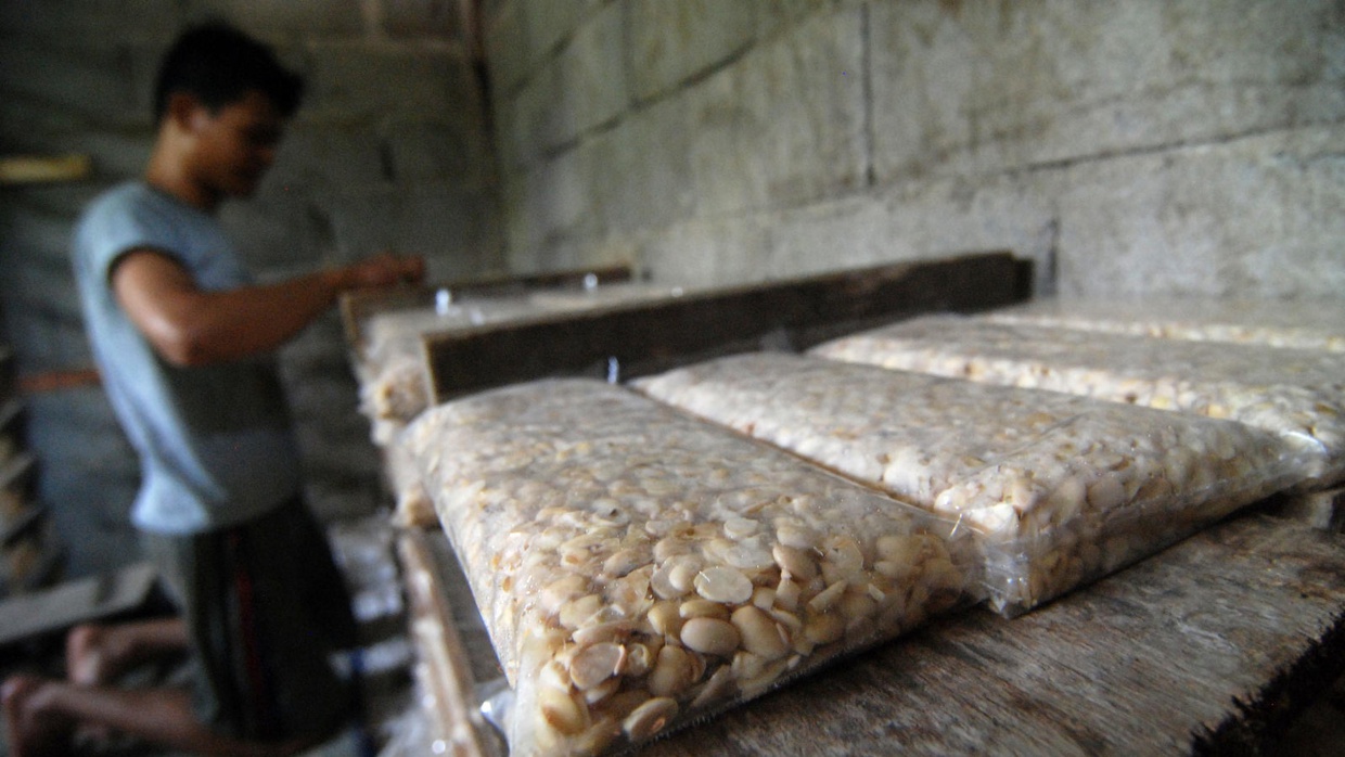 Resep Sambal Tempe untuk Hidangan Sahur & Buka Puasa yang Praktis