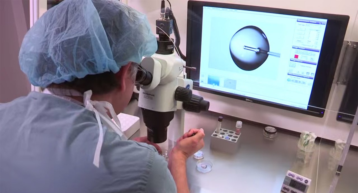 Apa Itu Bayi Tabung dan Bagaimana Prosesnya Hingga Ibu Hamil? Apa Itu Bayi Tabung dan Bagaimana Prosesnya Hingga Ibu Hamil?