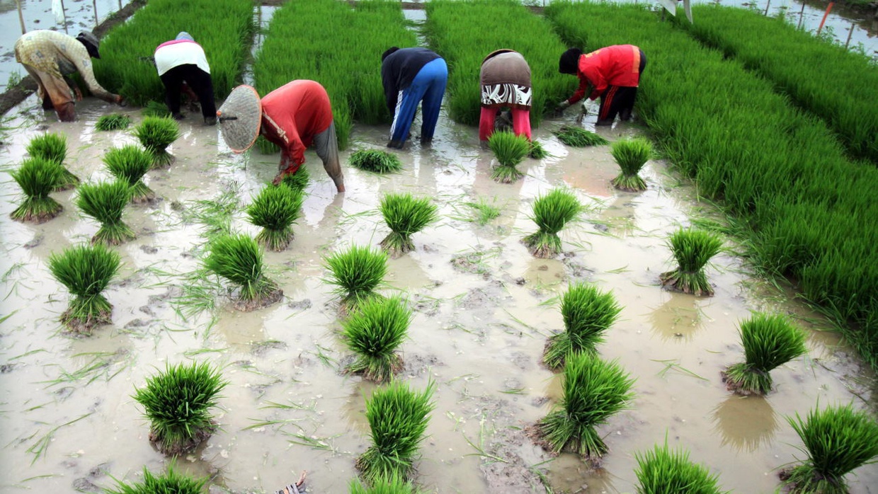 Persamaan dan Perbedaan Profil Anggota ASEAN: Indonesia & Malaysia