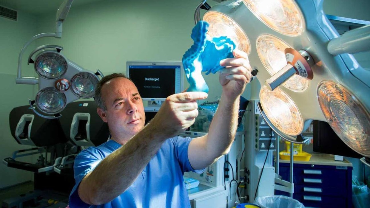 Kembalinya Mesenterium, Organ Tubuh Temuan Leonardo da Vinci