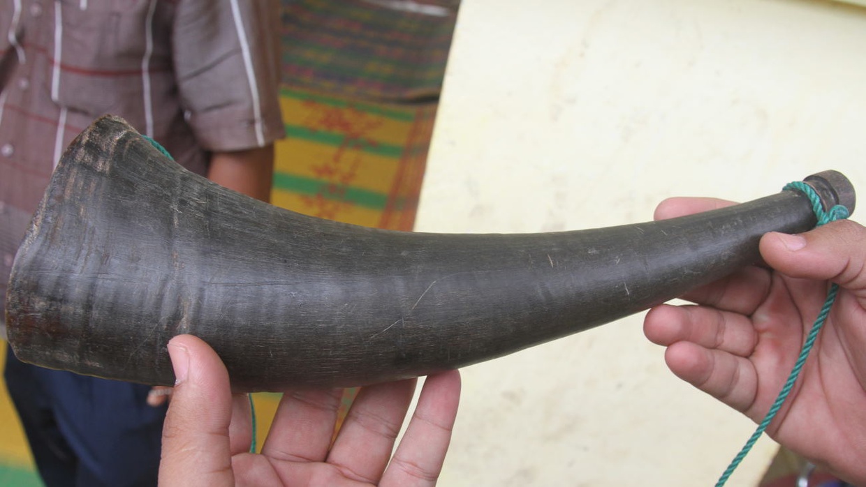 Apa Itu Alat Musik Tiup, Pengertian dan Contohnya?