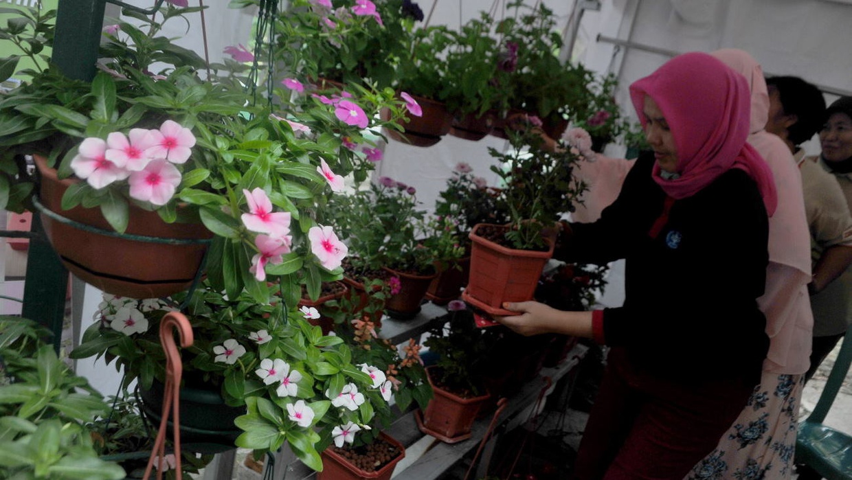 Tanaman Tak Layu Ditinggal Mudik dengan Fisika Sederhana