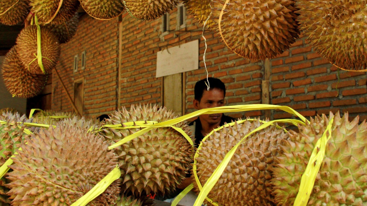 Di Balik Bau Menyengat yang Bikin Sebagian Orang Benci Durian