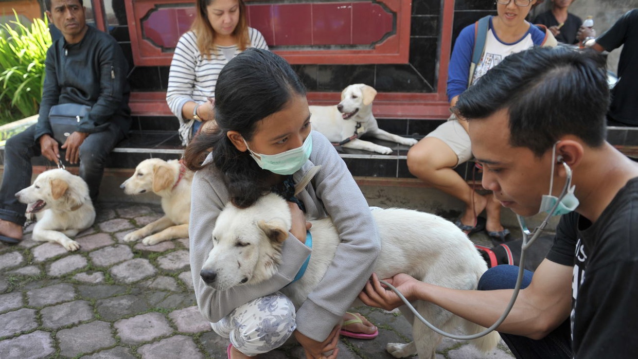 Rabies: Kenali Virus dan Gejalanya