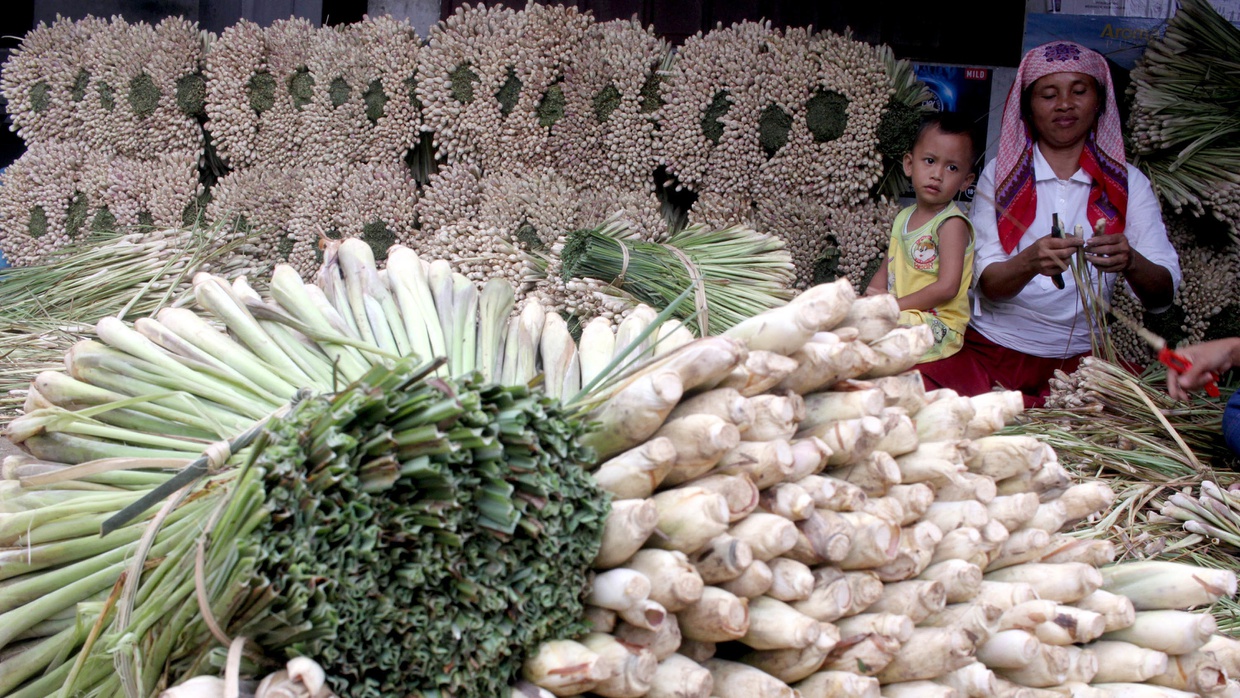 Apa Manfaat Serai Bagi Kesehatan dan Cara Pengolahannya Apa Manfaat Serai Bagi Kesehatan dan Cara Pengolahannya
