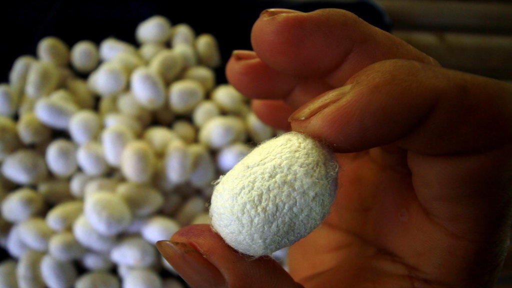 Macam-Macam Produk Kerajinan dari Bahan Serat Alam Tumbuhan & Hewan