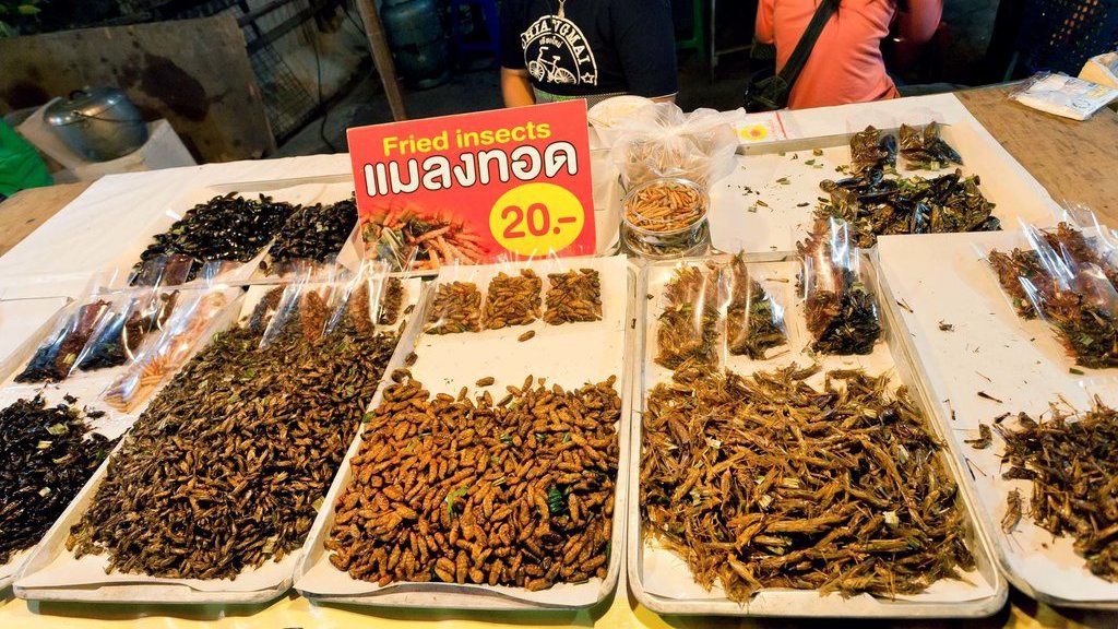 Mau Kudapan Bergizi? Makan Serangga Saja Mau Kudapan Bergizi? Makan Serangga Saja