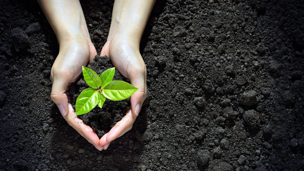 Pembantaian Para Aktivis Lingkungan Pembantaian Para Aktivis Lingkungan